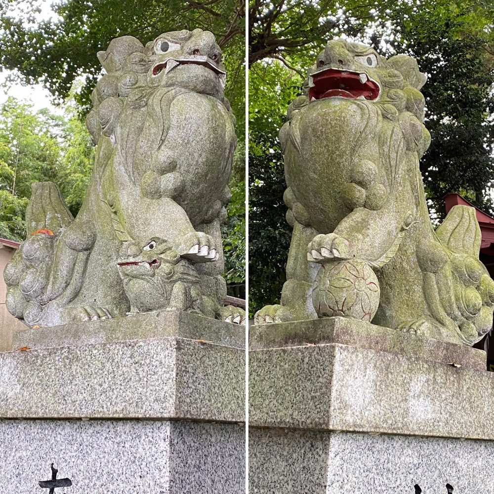 熊野神社(関戸) #狛犬